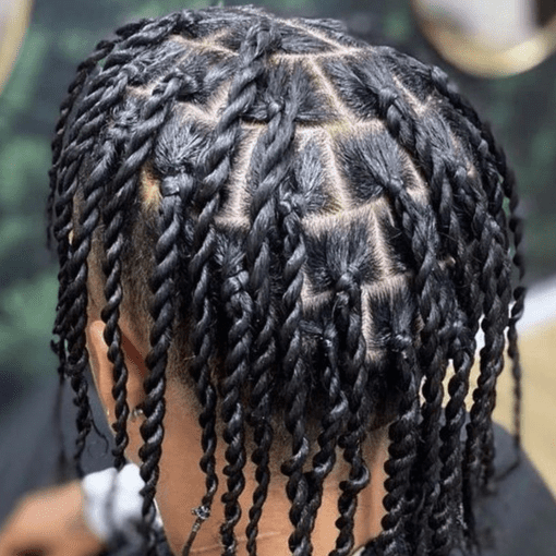 Two Strand Twist