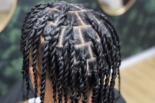 Two Strand Twist