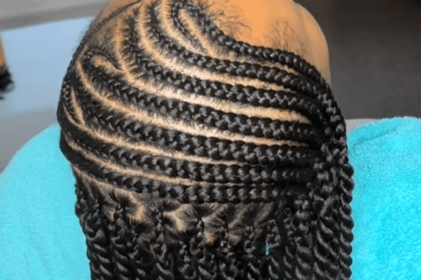 Fulani Twists